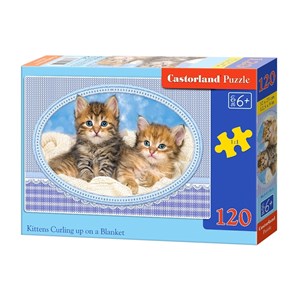 Castorland (B-13111) - "Kittens Curling up on a Blanket" - 120 pièces