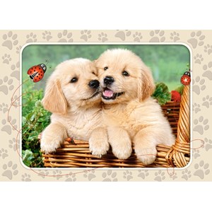 Castorland (B-06786) - "Golden Retriever Pups" - 60 pièces