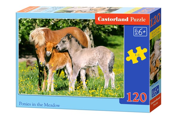 Castorland (B-12909) - "Poneys dans la prairie" - 120 pièces