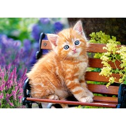 Castorland (B-018178) - "Ginger Kitten" - 180 pièces