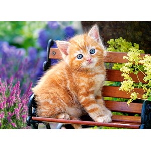 Castorland (B-018178) - "Ginger Kitten" - 180 pièces