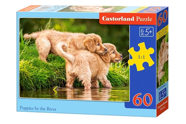 Castorland (B-06946) - "Chiots traversant la Rivière" - 60 pièces