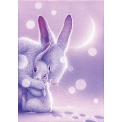 Clementoni (35002) - "Don't Worry" - 500 pièces