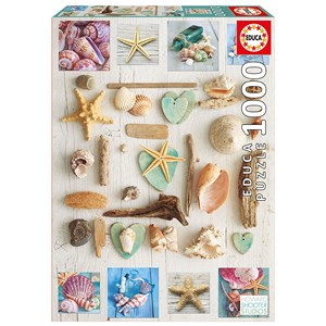 Educa (17658) - "Collage de Coquillages" - 1000 pièces