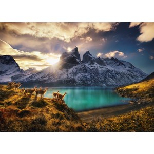 Heye (29815) - Alexander von Humboldt: "Guanacos" - 1000 pièces