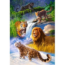 Castorland (C-103553) - "Big Cats" - 1000 pièces