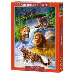 Castorland (C-103553) - "Big Cats" - 1000 pièces