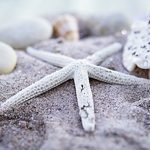 Ravensburger (19920) - "Maritime Impressions Multi" - 500 pièces