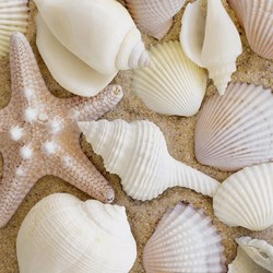 Ravensburger (19920) - "Maritime Impressions Multi" - 500 pièces