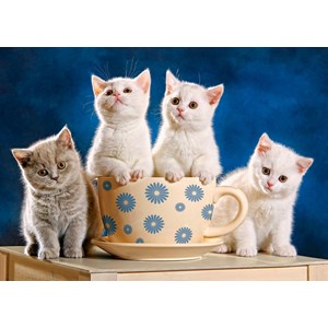 Castorland (B-52608) - "Looking for Milk" - 500 pièces