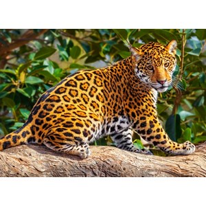 Castorland (B-27392) - "Petit Jaguar" - 260 pièces