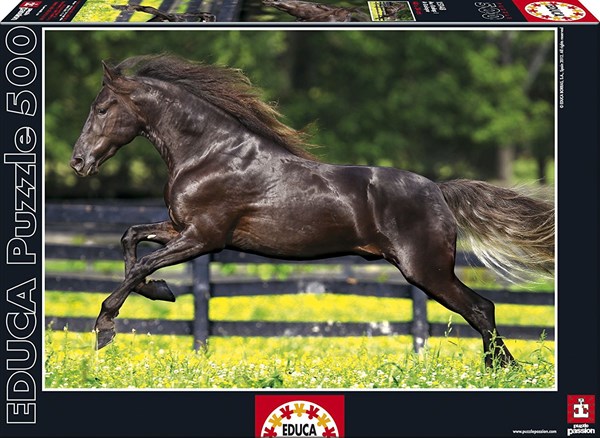 Educa (15148) - "Full Gallop" - 500 pièces