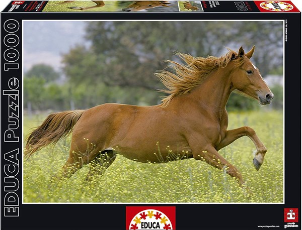 Educa (15522) - "At Full Gallop" - 1000 pièces