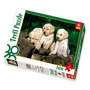 Trefl (15157) - "Little Labradors" - 160 pièces