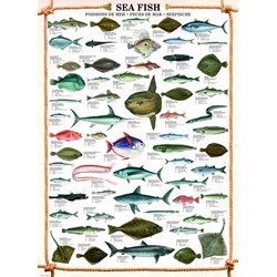 Eurographics (6000-0313) - "Les poissons" - 1000 pièces