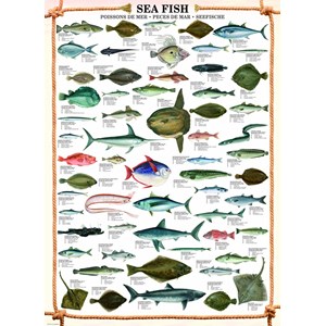 Eurographics (6000-0313) - "Les poissons" - 1000 pièces