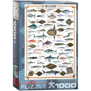Eurographics (6000-0313) - "Les poissons" - 1000 pièces