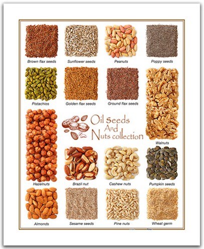 Pintoo (H1472) - "Seeds and nuts" - 500 pièces