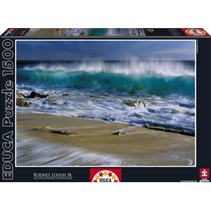 Educa (16006) - "Instant" - 1500 pièces