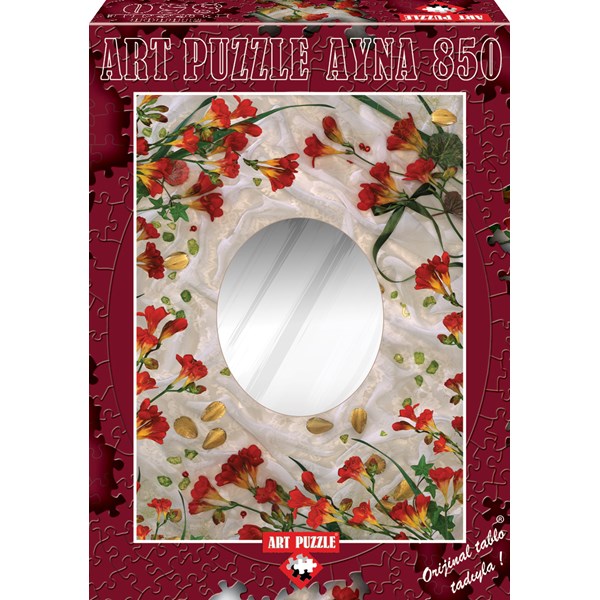 Art Puzzle (4265) - "Mirror" - 850 pièces