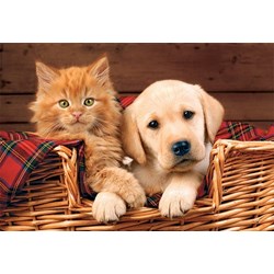 Trefl (15270) - "Better Together" - 160 pièces