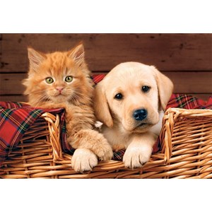 Trefl (15270) - "Better Together" - 160 pièces