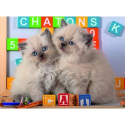Nathan (86861) - "Chats" - 150 pièces