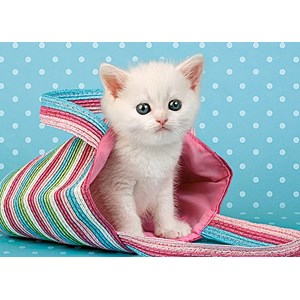 Castorland (B-010172) - "White Cat in Bag" - 108 pièces