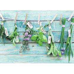 Ravensburger (19612) - "Herb Garden" - 1000 pièces