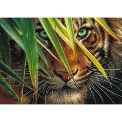Ravensburger (19486) - "Mysterious Tiger" - 1000 pièces