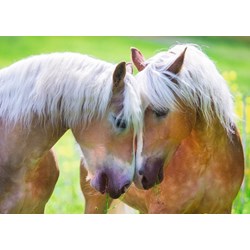 Ravensburger (19485) - "Intimate Moment" - 1000 pièces