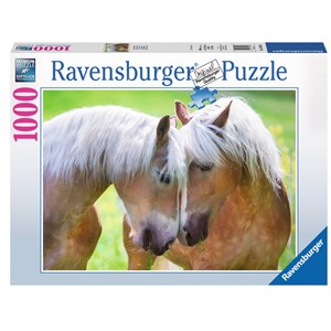 Ravensburger (19485) - "Intimate Moment" - 1000 pièces