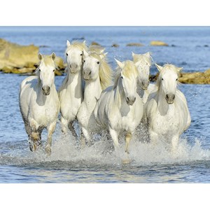 Ravensburger (16285) - "Sparkling Refreshment" - 1500 pièces