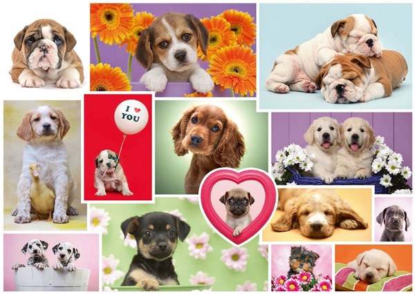 Schmidt Spiele (58231) - "Friends on four paws" - 1000 pièces