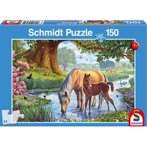 Schmidt Spiele (56161) - "Chevaux dans le Ruisseau" - 150 pièces