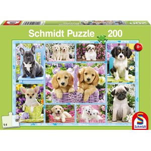 Schmidt Spiele (56162) - "Chiots" - 200 pièces