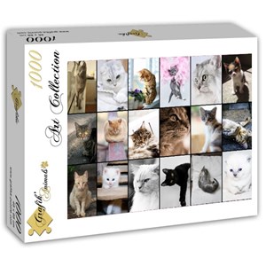 Grafika (T-00100) - "Collage, Chats" - 1000 pièces
