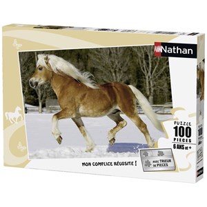 Nathan (86733) - "Trot dans la Neige" - 100 pièces