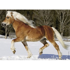 Nathan (86733) - "Trot dans la Neige" - 100 pièces