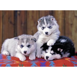 Ravensburger (12823) - "Mignons Huskies" - 200 pièces