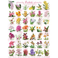 Eurographics (6000-0655) - "Orchidées" - 1000 pièces