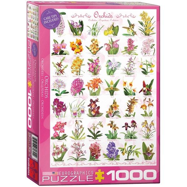 Eurographics (6000-0655) - "Orchidées" - 1000 pièces