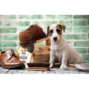 Tactic (53339) - "The Little Shoe-Shine" - 500 pièces