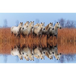 Tactic (53340) - "Horses" - 500 pièces