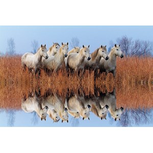 Tactic (53340) - "Horses" - 500 pièces