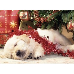 Ravensburger (07546) - "Christmas Puppy" - 80 pièces