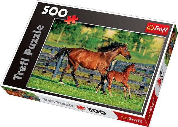 Trefl (370959) - "Foal's First Steps" - 500 pièces