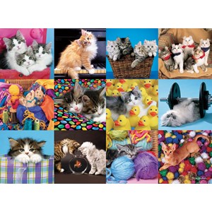 Ravensburger (13197) - "Cats Collage" - 300 pièces