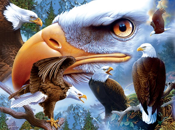 SunsOut (18943) - Jerry Gadamus: "Bold and Beautiful" - 1000 pièces