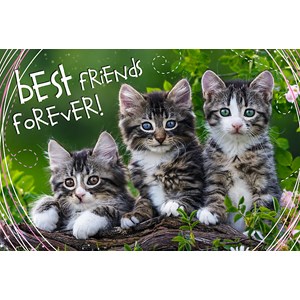 Trefl (13215) - "Best Friends Forever" - 260 pièces